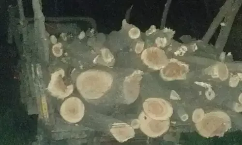 इटावा पुलिस ने अवैध रूप से लकडी ले जाने वाले 4 अभियुक्त किये गिरफ्तार