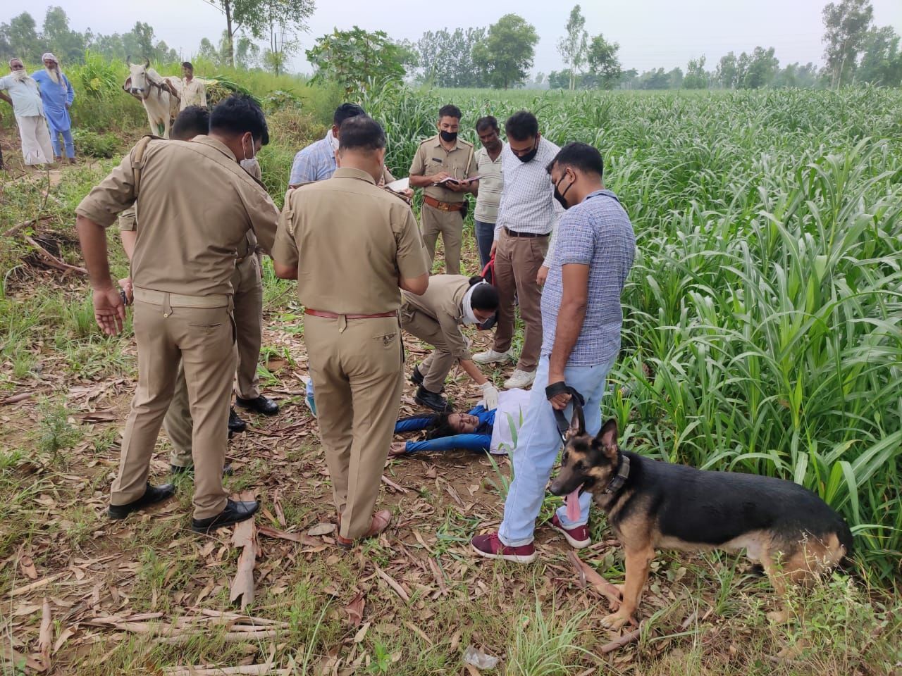 बिजनौर : महिला का संदिग्ध अवस्था में मिला शव, इलाके में फैली सनसनी बिजनौर : महिला का संदिग्ध अवस्था में मिला शव, इलाके में फैली सनसनी