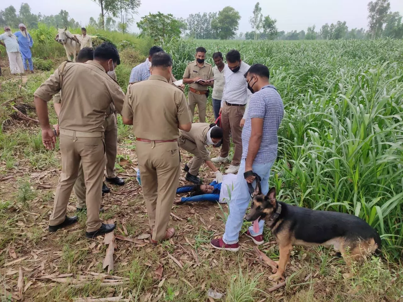 बिजनौर : महिला का संदिग्ध अवस्था में मिला शव, इलाके में फैली सनसनी