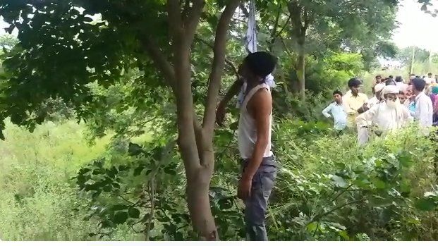 बिजनौर में पेड़ पर लटका मिला युवक का शव बिजनौर में पेड़ पर लटका मिला युवक का शव