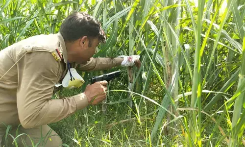 मुजफ्फरनगर में सुशील मूंछ के शार्पशूटर से पुलिस की मुठभेड़, दरोगा व सिपाही घायल एक इनामिया बदमाश की लगी गोली मुजफ्फरनगर में सुशील मूंछ के शार्पशूटर से पुलिस की मुठभेड़, दरोगा व सिपाही घायल एक इनामिया बदमाश की लगी गोली