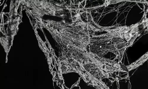 चीन रूपी मकड़ी के जाल में उलझा भारत: सीमा , राजस्थान , कोरोना या अर्थव्यवस्था! चीन रूपी मकड़ी के जाल में उलझा भारत: सीमा , राजस्थान , कोरोना या अर्थव्यवस्था!