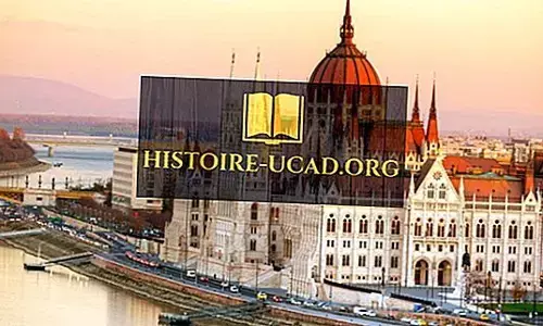 क्या भारत के बड़े एडिटर एंकर और पत्रकार हंगरी के पत्रकारों जैसी हिम्मत दिखा पाएंगे ?