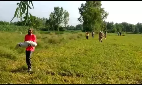 मासूम भाई ने आपत्तिजनक हालत में बहिन को देखा, तो बहिन ने आशिक के साथ मिलकर रक्षाबंधन पर्व पर कर दी मासूम भाई की हत्या! मासूम भाई ने आपत्तिजनक हालत में बहिन को देखा, तो बहिन ने आशिक के साथ मिलकर रक्षाबंधन पर्व पर कर दी मासूम भाई की हत्या!