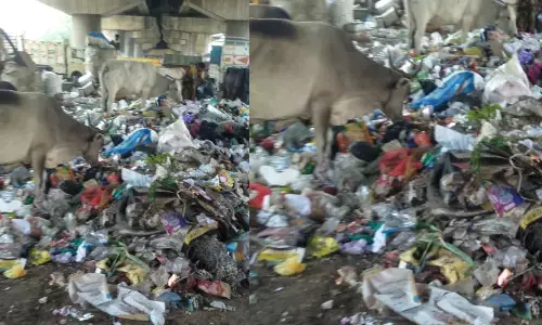 जब कोरोना महामारी अपनेपूरे जोश पर है तब गाजियाबाद में प्रसाशन जान बूझकर दे रहा है बिमारियों को निमंत्रण! जब कोरोना महामारी अपनेपूरे जोश पर है तब गाजियाबाद में प्रसाशन जान बूझकर दे रहा है बिमारियों को निमंत्रण!