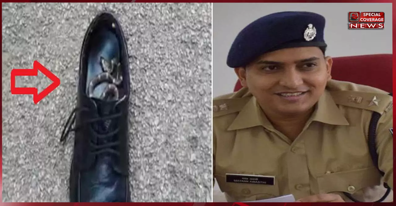 ये क्या, एसपी के जूते में छिपा था जहरीला सांप, मोजे निकालते समय किया हमला, फिर.. ये क्या, एसपी के जूते में छिपा था जहरीला सांप, मोजे निकालते समय किया हमला, फिर..