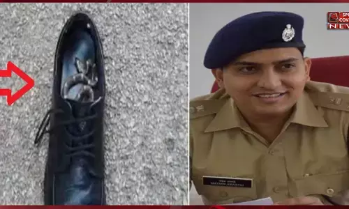 ये क्या, एसपी के जूते में छिपा था जहरीला सांप, मोजे निकालते समय किया हमला, फिर.. ये क्या, एसपी के जूते में छिपा था जहरीला सांप, मोजे निकालते समय किया हमला, फिर..