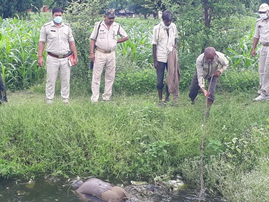 ललितपुर : थाना पूराकला अंतर्गत ग्राम हिंगोरा में एक व्यक्ति की लाश कुएं से बरामद