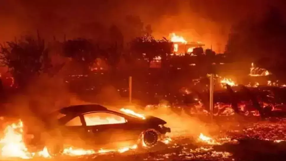 कैलिफोर्निया के जंगलों में लगी भीषण आग; 700 से अधिक घर और इमारतें हुईं नष्ट