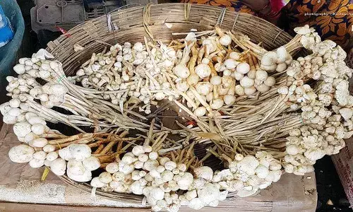 भारत की सबसे महंगी सब्जी, जिसका रेट 1200 रूपये प्रति किलो