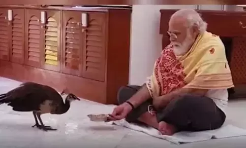 हर समस्या को नैरुजी को तोर तोर अउर हर उपलब्धि को मोर मोर(अपना)