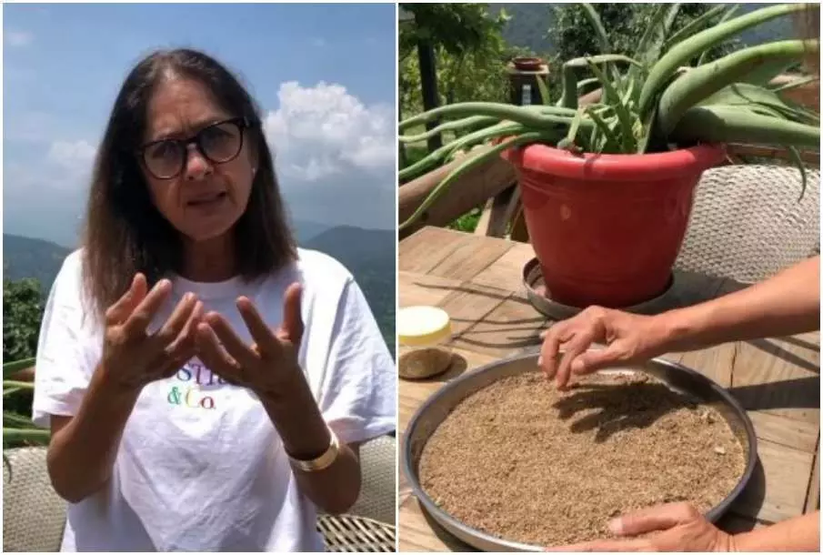 एसिडिटी, कब्ज और खट्टी डकार आने पर तुरंत आराम देगा ये घरेलू नुस्खा, एक्ट्रेस नीना गुप्ता ने किया शेयर एसिडिटी, कब्ज और खट्टी डकार आने पर तुरंत आराम देगा ये घरेलू नुस्खा, एक्ट्रेस नीना गुप्ता ने किया शेयर