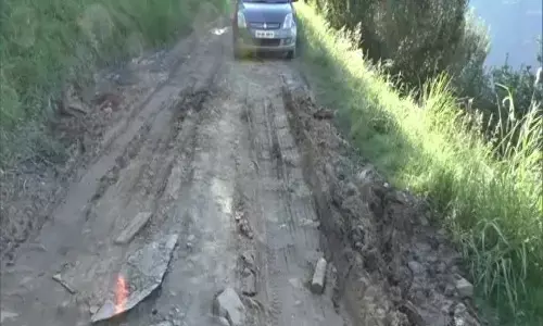 हिमाचल प्रदेश: सेब की बागवानी करने वाले किसानों का बुरा हाल हिमाचल प्रदेश: सेब की बागवानी करने वाले किसानों का बुरा हाल