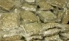 प्रयागराज : 11 कुंतल नशीले पदार्थ सहित 9 आरोपी किए गिरफ्तार, ट्रक-स्कॉर्पियो व बाइक बरामद प्रयागराज : 11 कुंतल नशीले पदार्थ सहित 9 आरोपी किए गिरफ्तार, ट्रक-स्कॉर्पियो व बाइक बरामद