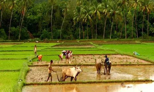 आधुनिक खेती ने खाद्य उत्पादन को ही बना दिया जलवायु के लिए ख़तरा