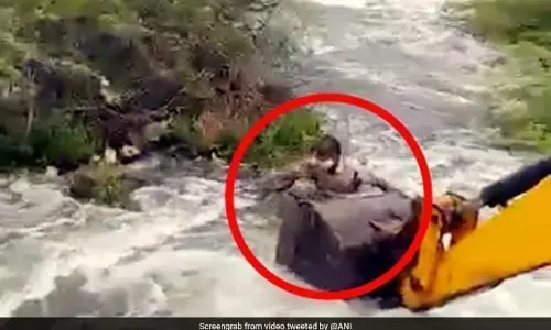 कुत्ते को बचाने के लिए JCB से नदी में कूद गया जवान, ऐसे बचाई जान... देखें Video कुत्ते को बचाने के लिए JCB से नदी में कूद गया जवान, ऐसे बचाई जान... देखें Video