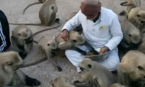 рдЙрдЪреНрдЪ рдиреНрдпрд╛рдпрд╛рд▓рдп рдиреЗ рджрд┐рдП рд╕рд░рдХрд╛рд░ рдХреЛ рдирд┐рд░реНрджреЗрд╢, рдмрдиреНрджрд░реЛ рдХреЗ рд▓рд┐рдП рдЗрдВрджрд┐рд░рд╛ рд░рд╕реЛрдИ рдпреЛрдЬрдирд╛ рдХреНрдпреЛ рдирд╣реА ? рдЙрдЪреНрдЪ рдиреНрдпрд╛рдпрд╛рд▓рдп рдиреЗ рджрд┐рдП рд╕рд░рдХрд╛рд░ рдХреЛ рдирд┐рд░реНрджреЗрд╢, рдмрдиреНрджрд░реЛ рдХреЗ рд▓рд┐рдП рдЗрдВрджрд┐рд░рд╛ рд░рд╕реЛрдИ рдпреЛрдЬрдирд╛ рдХреНрдпреЛ рдирд╣реА ?