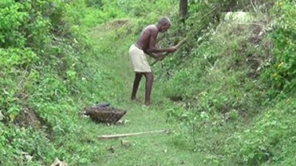 30 साल तक पहाड़ खोदकर बनाई नहर, आनंद महिंद्रा ने किया ट्रैक्टर देने का ऐलान 30 साल तक पहाड़ खोदकर बनाई नहर, आनंद महिंद्रा ने किया ट्रैक्टर देने का ऐलान