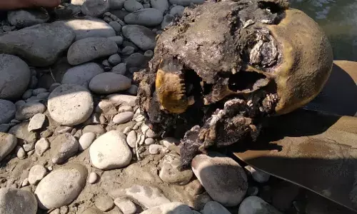 नाला सिंध में मिली मानव खोपड़ी, पुलिस मौके पर पहुंची नाला सिंध में मिली मानव खोपड़ी, पुलिस मौके पर पहुंची