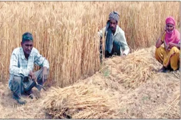 तो क्या अडानी लेने वाले है किसान के आढ़तियों की जगह!