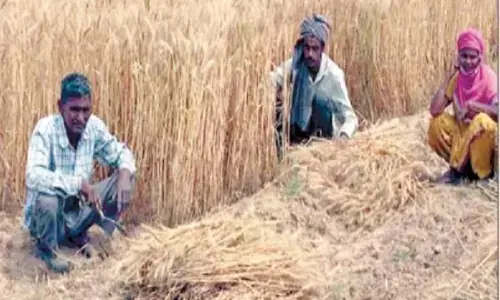 तो क्या अडानी लेने वाले है किसान के आढ़तियों की जगह! तो क्या अडानी लेने वाले है किसान के आढ़तियों की जगह!