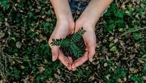 डिजिटल ही सही, लेकिन इस साल भी होगा ग्लोबल क्लाइमेट एक्शन डे डिजिटल ही सही, लेकिन इस साल भी होगा ग्लोबल क्लाइमेट एक्शन डे