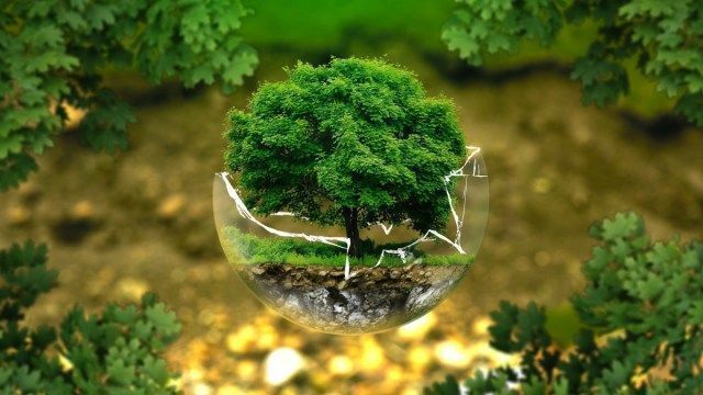 जलवायु आपातकाल रोकने के लिए CO2 उत्सर्जन कटौती की दर में दस गुना वृद्धि ज़रूरी जलवायु आपातकाल रोकने के लिए CO2 उत्सर्जन कटौती की दर में दस गुना वृद्धि ज़रूरी