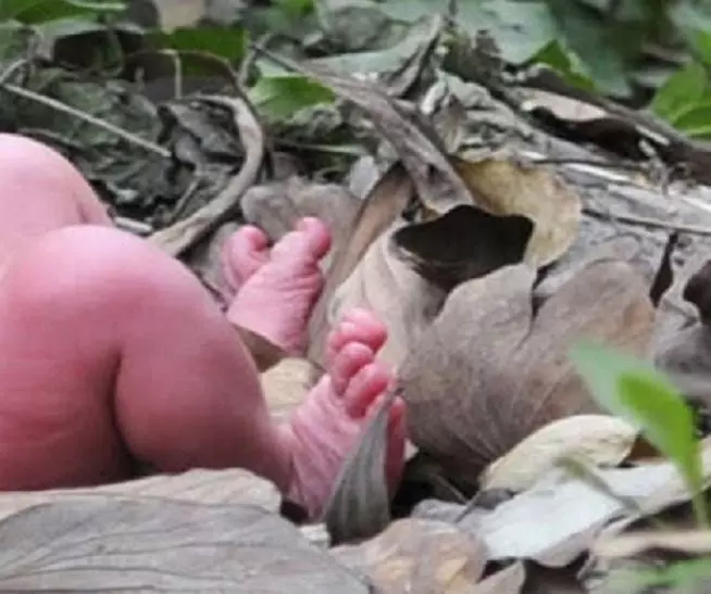 बाराबंकी से बड़ी खबर: रेप पीड़िता नाबालिक युवती का खेत मे कराया प्रसव  नवजात को फेंका खेत मे, पीड़िता तड़पती रही