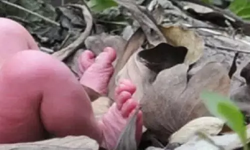 बाराबंकी से बड़ी खबर: रेप पीड़िता नाबालिक युवती का खेत मे कराया प्रसव  नवजात को फेंका खेत मे, पीड़िता तड़पती रही बाराबंकी से बड़ी खबर: रेप पीड़िता नाबालिक युवती का खेत मे कराया प्रसव  नवजात को फेंका खेत मे, पीड़िता तड़पती रही