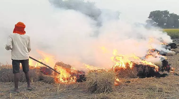 UP: गांव में पराली जलाने पर ग्राम प्रधान पर भी होगी कार्रवाई, मुख्य सचिव ने DM को दिए निर्देश