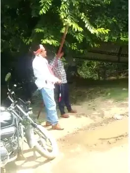 सुल्तानपुर में पूर्व सपा नेता नेता शेर सिंह यादव पिस्टल की नोक पर जमीन पर कब्ज़ा हटाते नजर आये, वीडियो वायरल