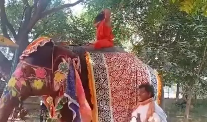 हाथी पर बैठ कर योग कर रहे थे बाबा रामदेव, अचानक नीचे गिरे, देखें VIDEO