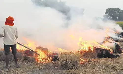 UP: गांव में पराली जलाने पर ग्राम प्रधान पर भी होगी कार्रवाई, मुख्य सचिव ने DM को दिए निर्देश UP: गांव में पराली जलाने पर ग्राम प्रधान पर भी होगी कार्रवाई, मुख्य सचिव ने DM को दिए निर्देश