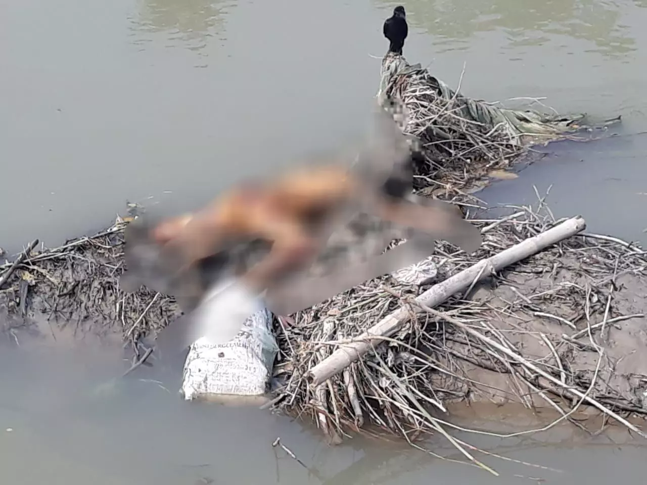 दो थानों के विवाद में नहर में महिला की लाश फंसी है दो थानों के विवाद में नहर में महिला की लाश फंसी है