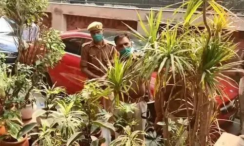 बसपा सांसद मलूक नागर के आवास पर आयकर विभाग का छापा