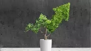 क्या ग्रीन रिकवरी दे पा रही है एवरग्रीन रोज़गार के अवसर? क्या ग्रीन रिकवरी दे पा रही है एवरग्रीन रोज़गार के अवसर?