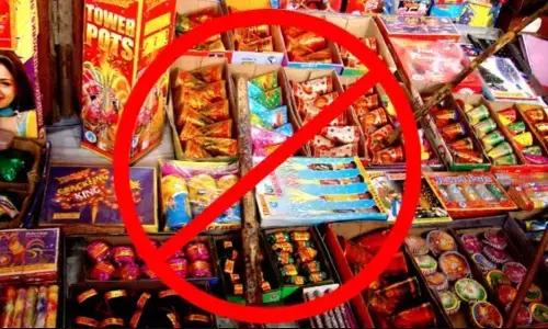 NGT का बड़ा फैसला: दिल्ली-एनसीआर में इस दिवाली नहीं छोड़ सकेंगे पटाखा, 30 नवंबर तक आतिशबाजी पर रोक NGT का बड़ा फैसला: दिल्ली-एनसीआर में इस दिवाली नहीं छोड़ सकेंगे पटाखा, 30 नवंबर तक आतिशबाजी पर रोक