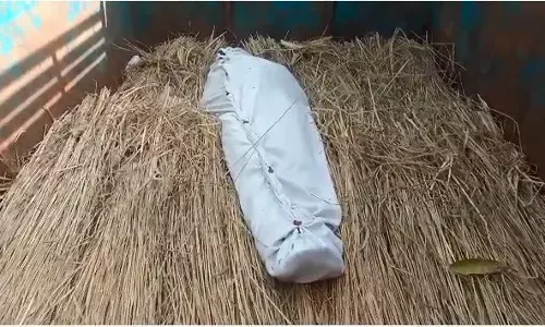 बिजनौर में महिला की मौत, 3 माह पूर्व थी लव मैरिज बिजनौर में महिला की मौत, 3 माह पूर्व थी लव मैरिज