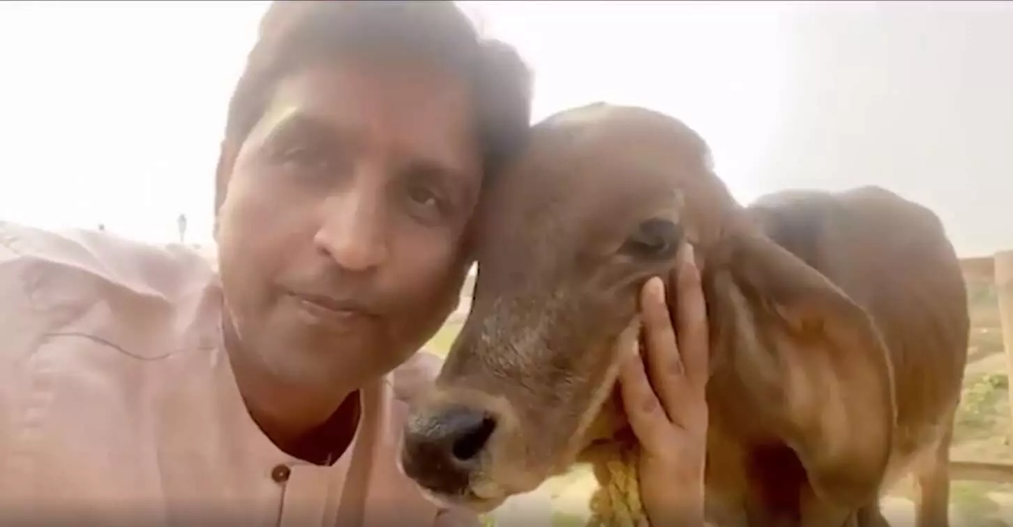 डॉ कुमार विश्वास ने गोपाष्टमी पर कही ये बड़ी बात, गाय को दुलारते हुए वीडियो डालकर दिया बड़ा संदेश