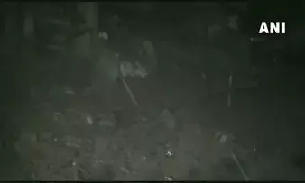 कानपुर के कुली बाजार में बड़ा हादसा, तीन मंजिला इमारत गिरी, कई लोगों के दबे होने की आशंका कानपुर के कुली बाजार में बड़ा हादसा, तीन मंजिला इमारत गिरी, कई लोगों के दबे होने की आशंका