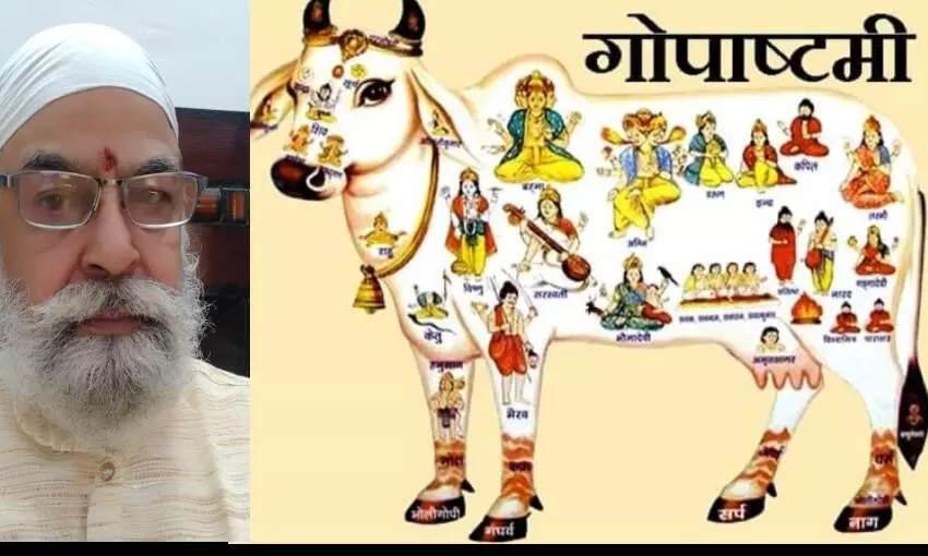 क्या वास्तव में गाय को हम माता मानते हैं? - ज्ञानेन्द्र रावत क्या वास्तव में गाय को हम माता मानते हैं? - ज्ञानेन्द्र रावत