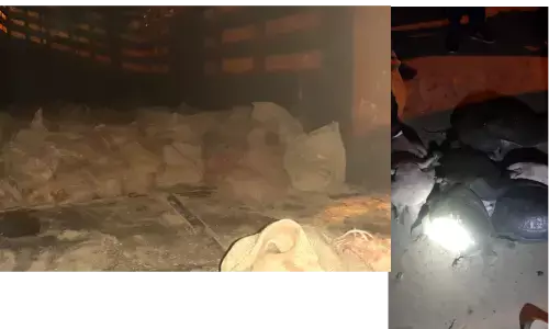 рдЗрдЯрд╛рд╡рд╛ рдкреБрд▓рд┐рд╕ рдиреЗ рдПрдХ рдХрд░реЛреЬ рдХреАрдордд рдХреЗ рдврд╛рдИ рд╣рдЬрд╛рд░ рд╕реЗ рдЬреНрдпрд╛рджрд╛ рдХрдЫреБрдП рд╕рдореЗрдд 5 рдЖрд░реЛрдкреА рдХрд┐рдпреЗ рдЧрд┐рд░рдлреНрддрд╛рд░ рдЗрдЯрд╛рд╡рд╛ рдкреБрд▓рд┐рд╕ рдиреЗ рдПрдХ рдХрд░реЛреЬ рдХреАрдордд рдХреЗ рдврд╛рдИ рд╣рдЬрд╛рд░ рд╕реЗ рдЬреНрдпрд╛рджрд╛ рдХрдЫреБрдП рд╕рдореЗрдд 5 рдЖрд░реЛрдкреА рдХрд┐рдпреЗ рдЧрд┐рд░рдлреНрддрд╛рд░