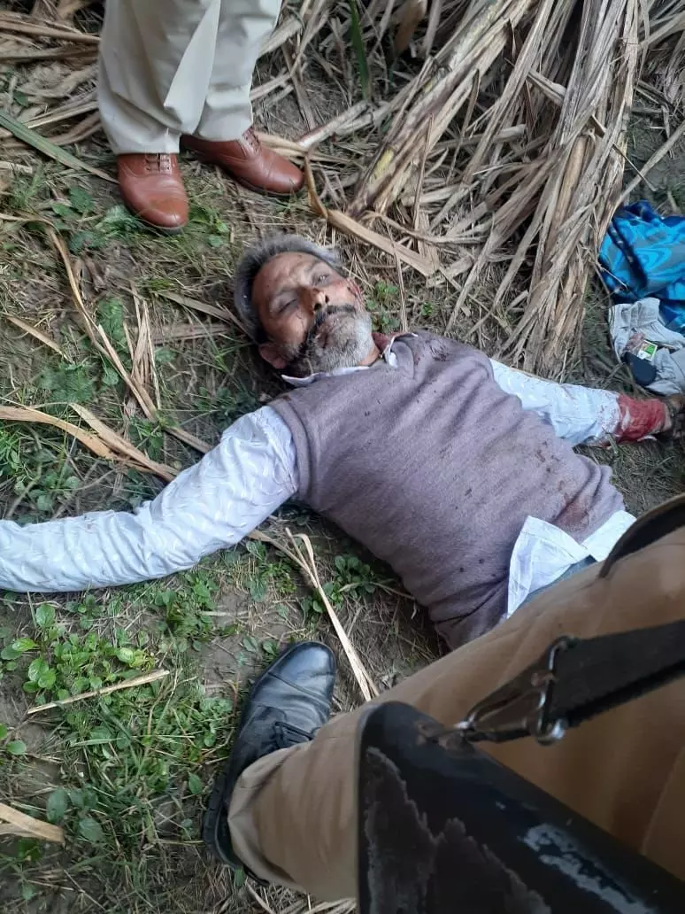 शामली: गन्ने के खेत में गोली लगा मिला कार चालक का शव, फैली सनसनी शामली: गन्ने के खेत में गोली लगा मिला कार चालक का शव, फैली सनसनी