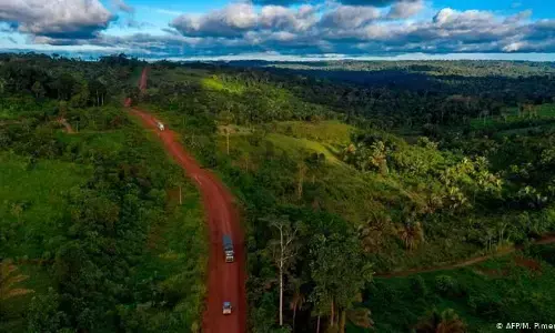 ब्राज़ील मेंबह रही उल्टी गंगा: वर्षावनों की कटाई ऊपर, पर्यावरण संरक्ष्ण बजट नीचे ब्राज़ील मेंबह रही उल्टी गंगा: वर्षावनों की कटाई ऊपर, पर्यावरण संरक्ष्ण बजट नीचे