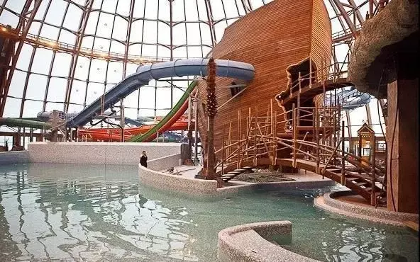 पीटलैंड की बर्बादी रोकना ज़रूरी: वैज्ञानिक पीटलैंड की बर्बादी रोकना ज़रूरी: वैज्ञानिक