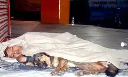 कुत्ते के साथ फुटपाथ पर सोता दिखा मासूम, पिता जेल में और मां छोड़कर चली गई कुत्ते के साथ फुटपाथ पर सोता दिखा मासूम, पिता जेल में और मां छोड़कर चली गई