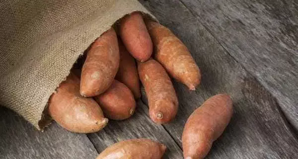 सर्दियों में पसंद करने वाले शकरकंद के हैरान करने वाले ये फायदे