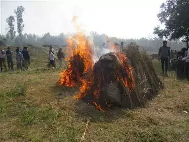 प्रतीकात्मक तस्वीर प्रतीकात्मक तस्वीर