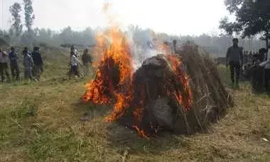 प्रतीकात्मक तस्वीर प्रतीकात्मक तस्वीर