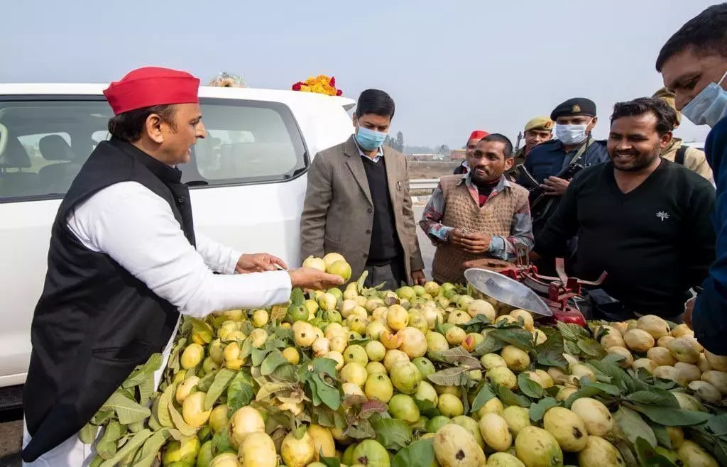 अखिलेश यादव का तंज, बोले- क्या इलाहाबादी अमरूद का भी नाम प्रयागराजी अमरूद हो गया है?